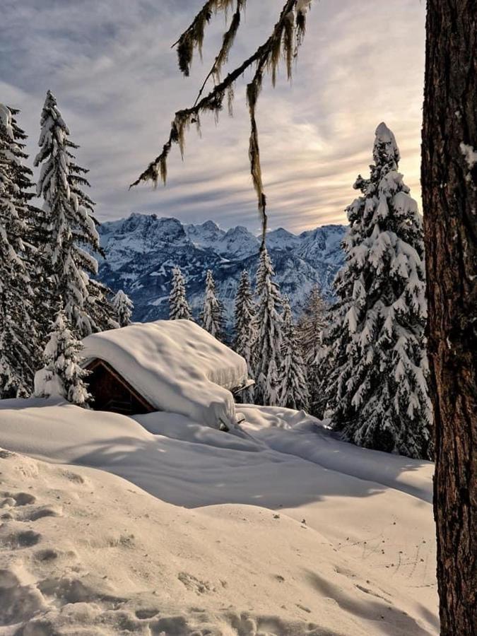 Pension Ostbach Leutasch Luaran gambar